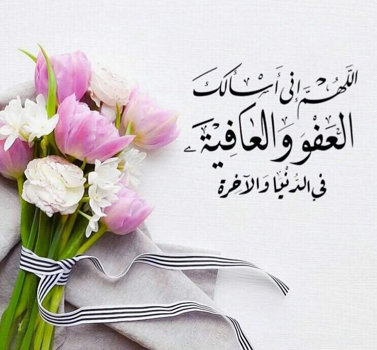 فاطِمَة صدّيقةٌ شهيدةٌ tweet media