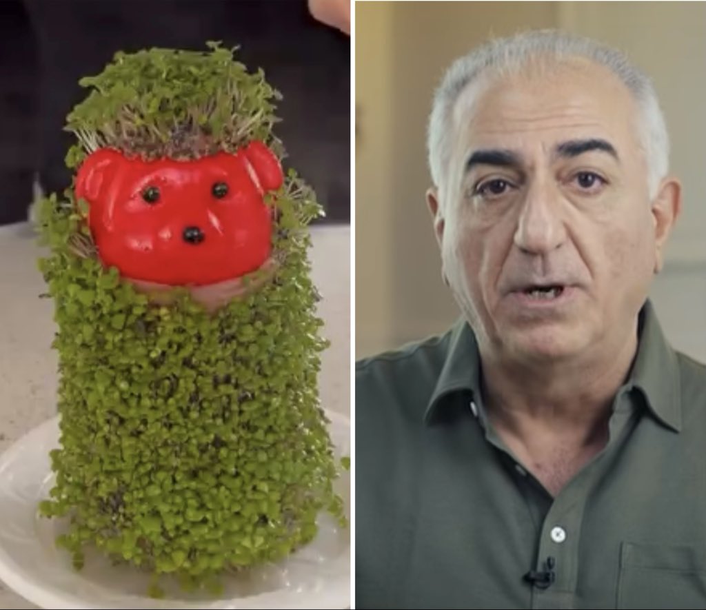 تاج 🟥☫🟩 tweet media