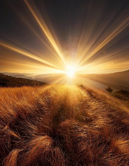 eltarotista56's tweet image. Buenos días, espero que hayan descansado lo suficiente y que hoy el día esté cargado de mucha bendiciones. Que tengan un feliz Domingo.

#BuenosDias #FelizDomingo