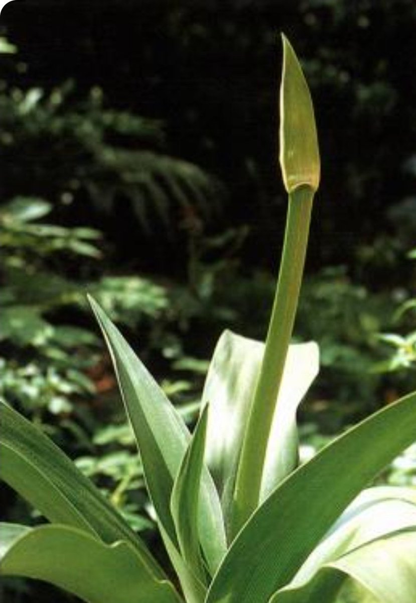 서울물곰SeoulWaterBear tweet media