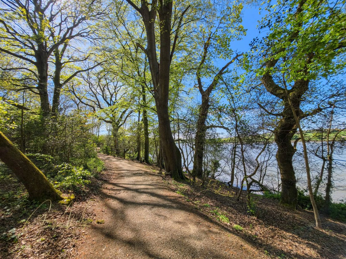 ThisIsIreland3's tweet image. 📍Exploring the beautiful May Park Trail in Waterford City! 🌳🚶‍♀️

📸 Garry White 

#Park #Trail #Waterford  #Ireland #MayParkTrail #Waterfordcity