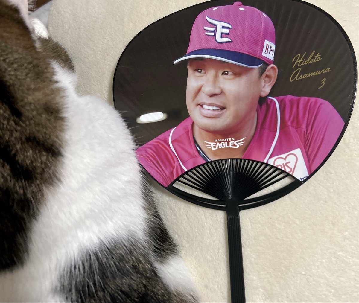 桃𓂃𓂂𓃠⑅︎∙︎˚ tweet media