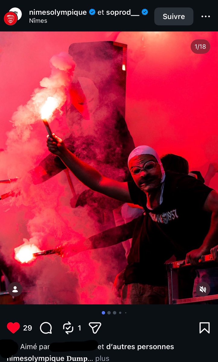 Crockito 🐊 tweet media