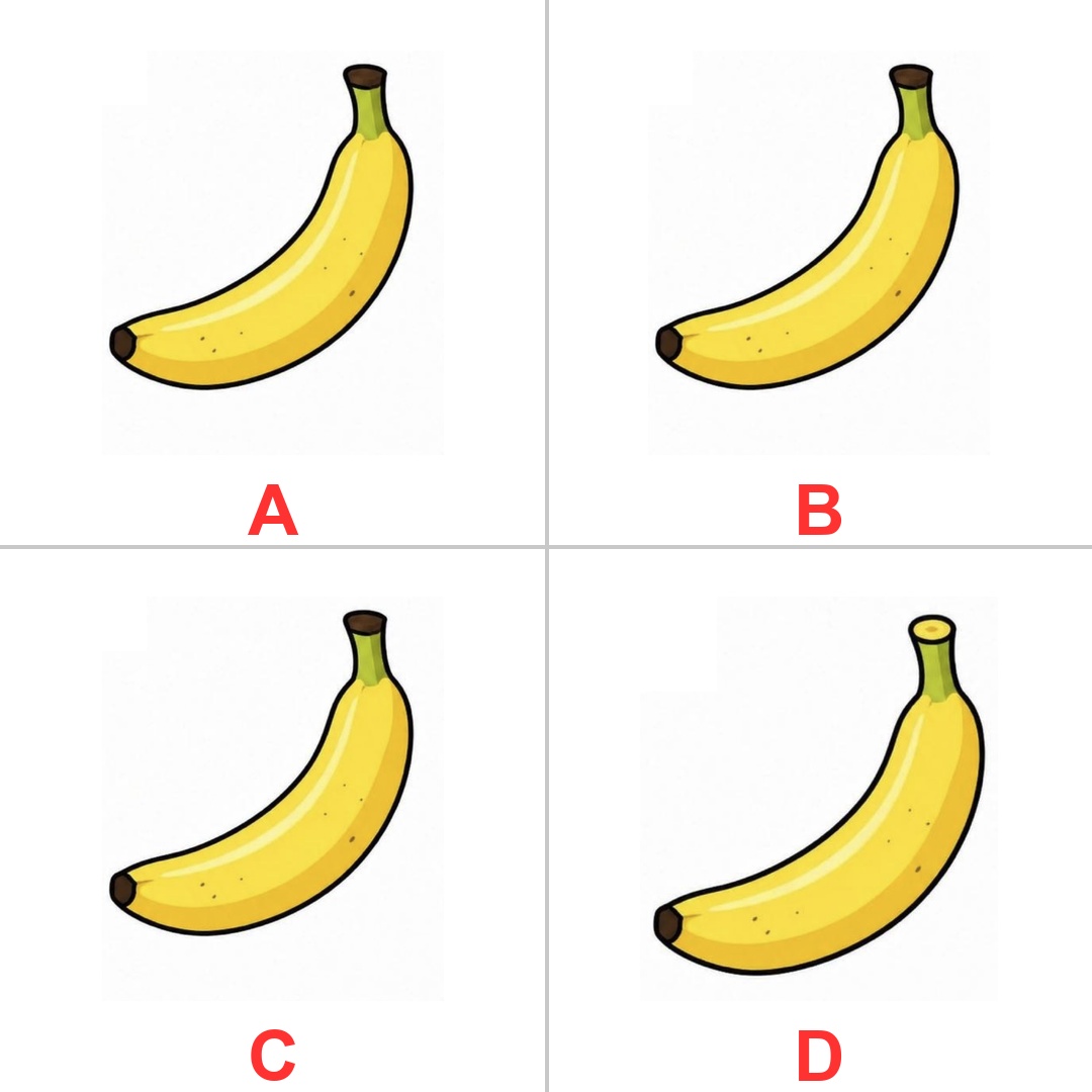 MindMazeX tweet media