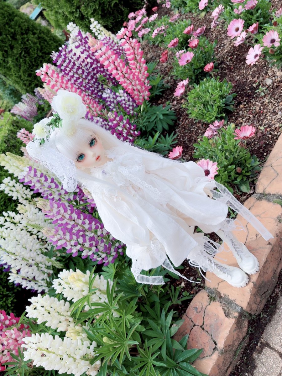 #毛玉服
#daydreamdoll