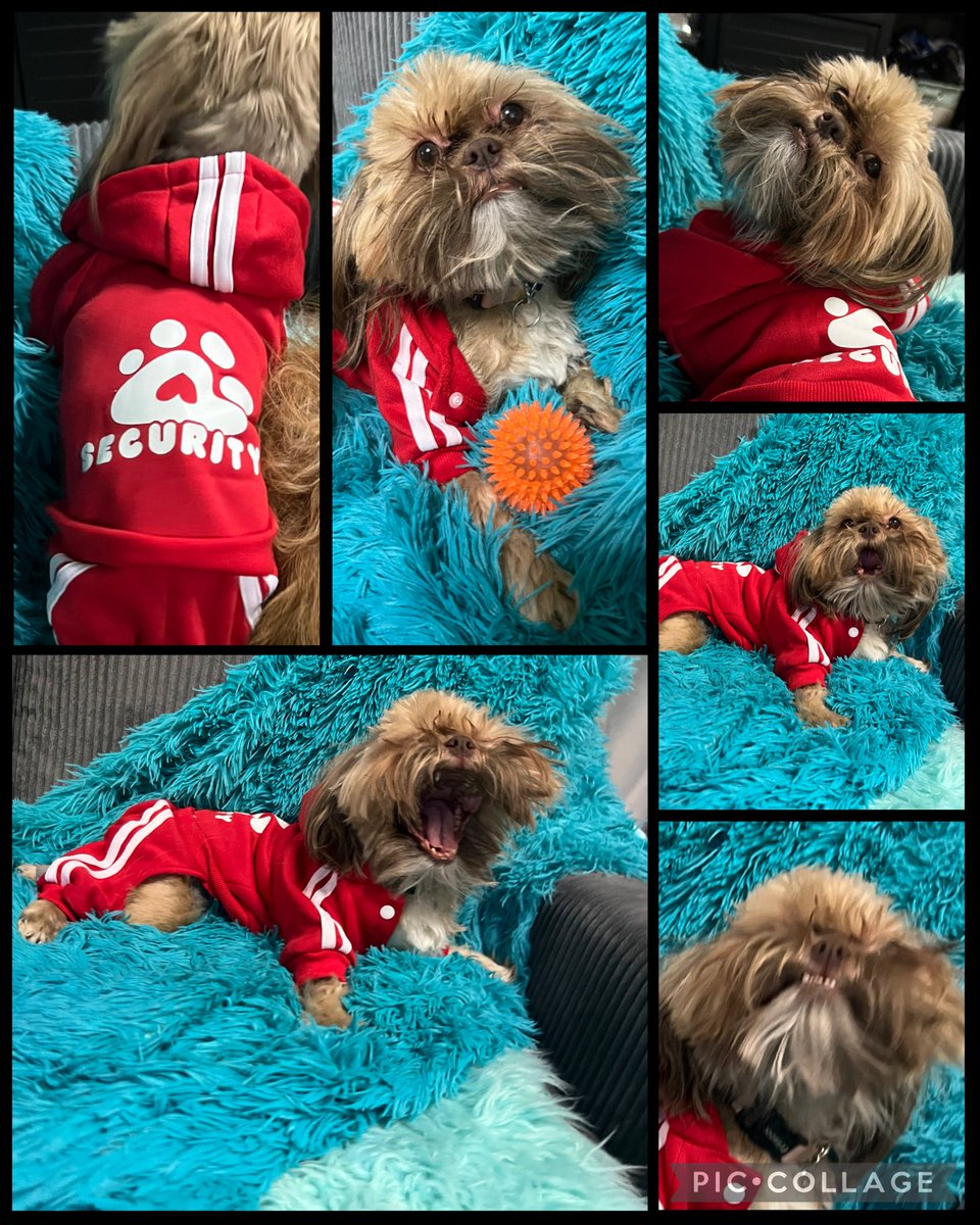 THE HERD HOUSE tweet media