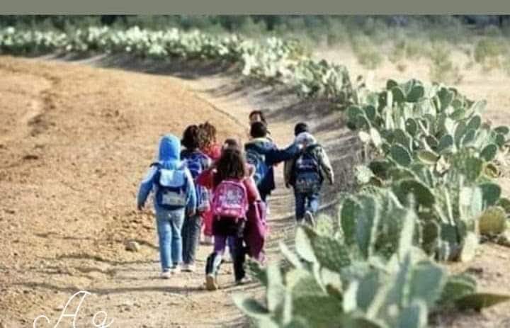 صلاح الصياح tweet media