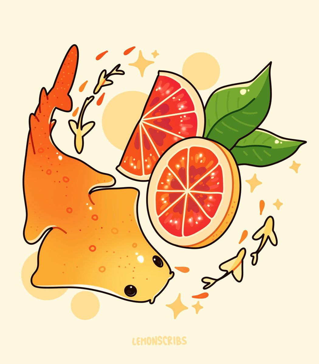 Lemonscribs's tweet image. Grapefruit angel shark 🦈🧡
I‘ve been looking up more sharks to draw and stumbled upon the super cute angel shark 💛
#illustration #digitalart #shark #fruitshark #grapefruit