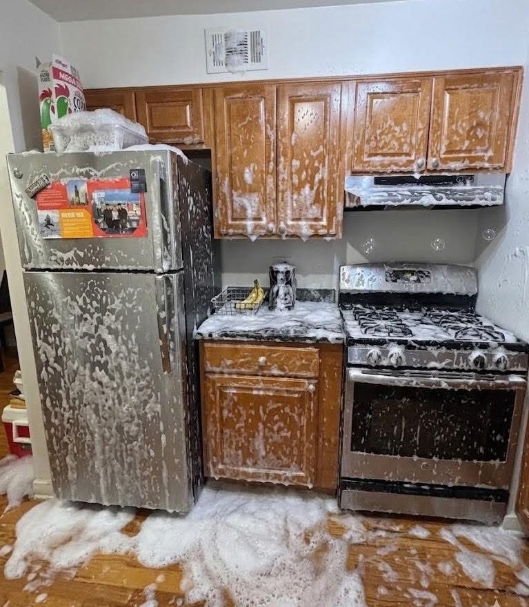 Ustedes se aburren porque quieren.