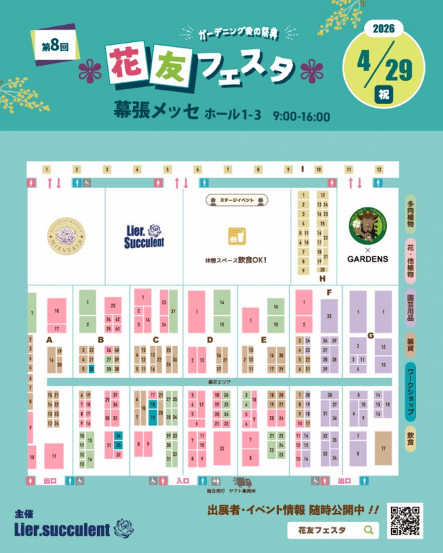 ROSSO PLANTS 【ビカクシダ専門店】 tweet media