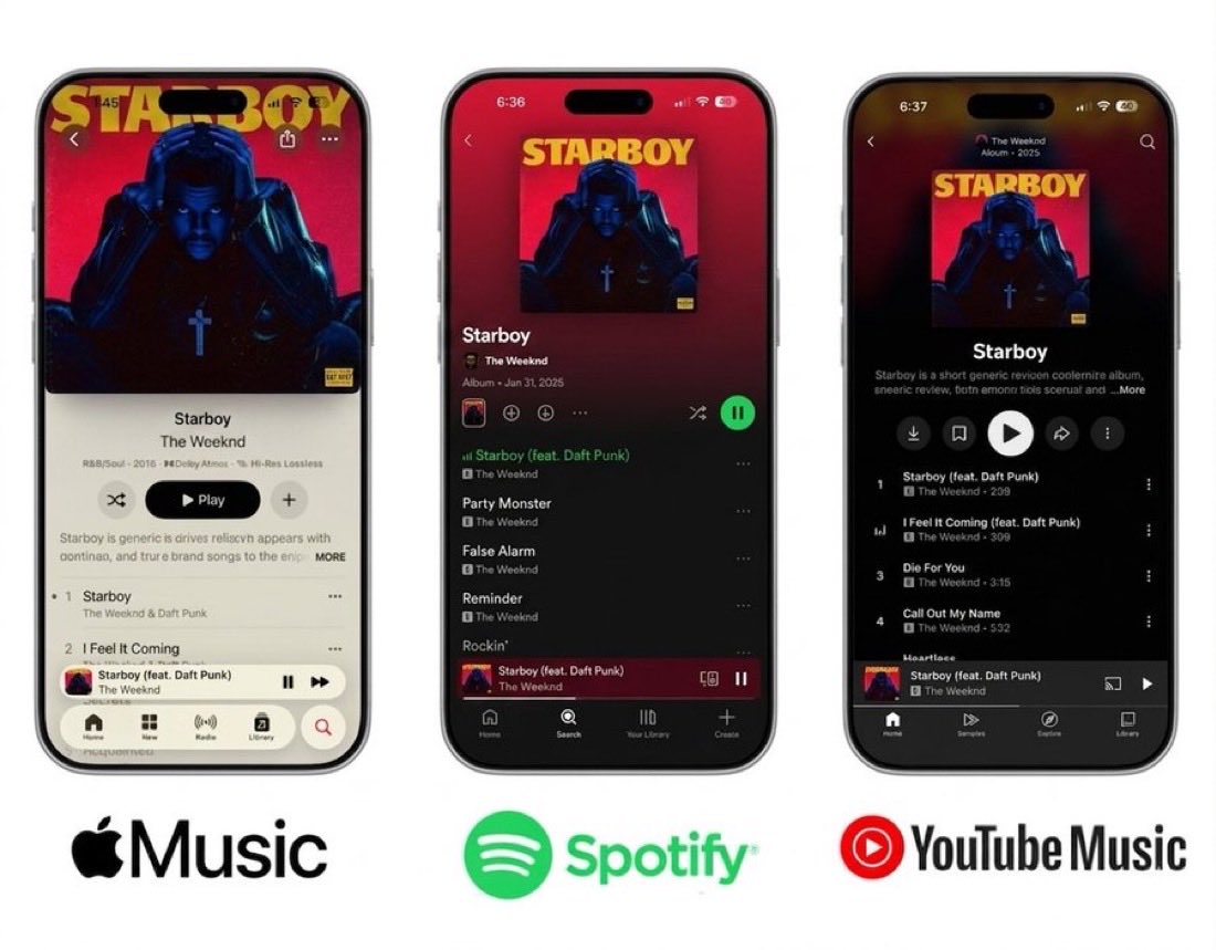 Alisha Pandey tweet media