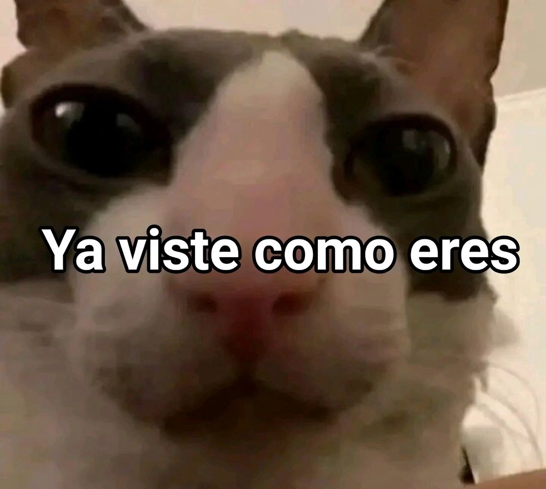 *pongo límites*

Las personas: