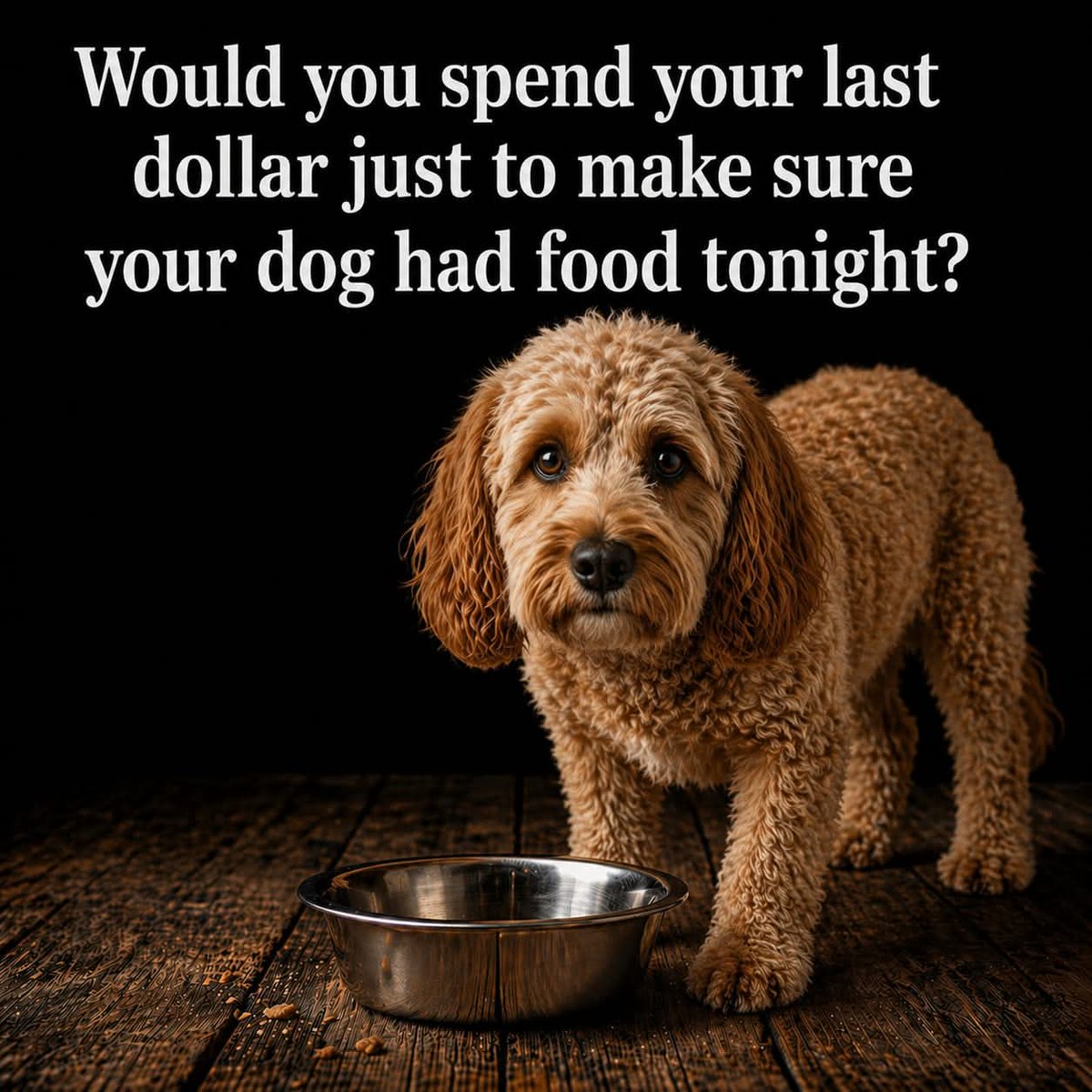 Sara Mary ⭐❤️ tweet media