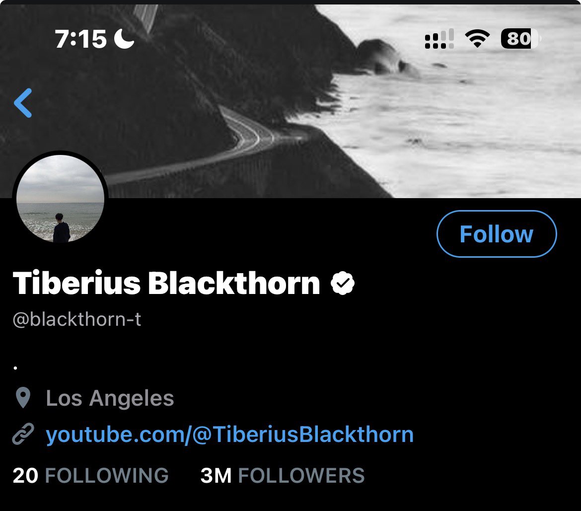 _ithildin's tweet image. #kitty