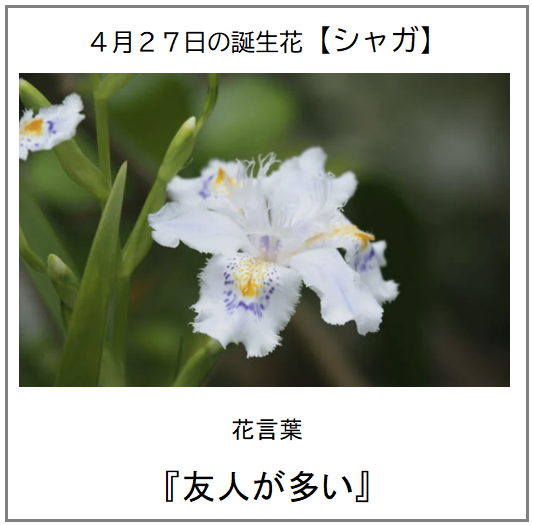 Mr.Surprise@FLOWER CONCORDE 木戸 tweet media