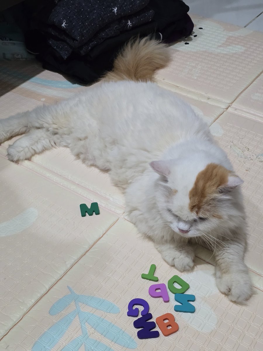 cikukucing's tweet photo. Itu bayi lu yang main, kenapa gua yang disuruh beresin ya min https://t.co/98Rfl4b21S