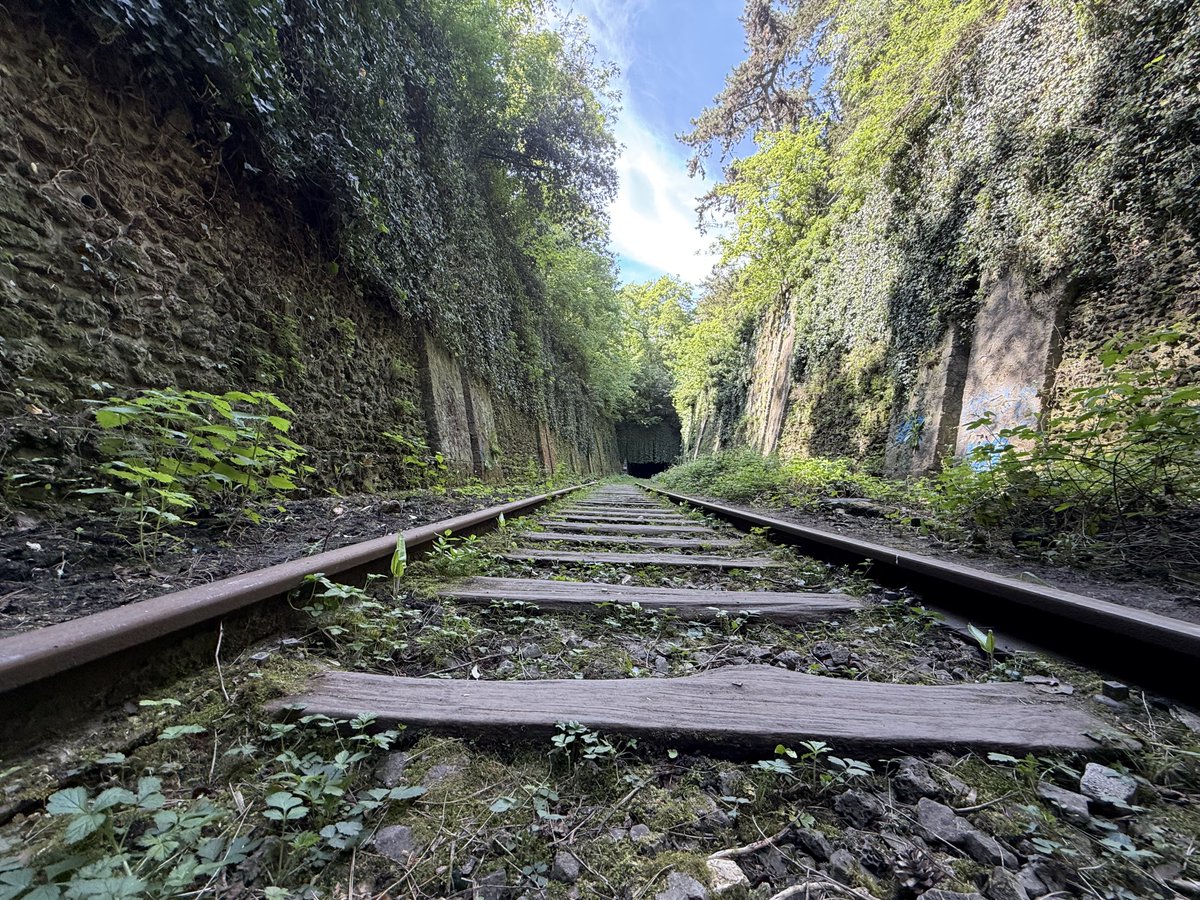 texel75's tweet image. Après-midi urbex sur une section de la Petite Ceinture vers le Parc Montsouris (Paris 13e) habituellement fermée au public, mais accessible cet après-midi 😀 #SNCF #Patrimoine