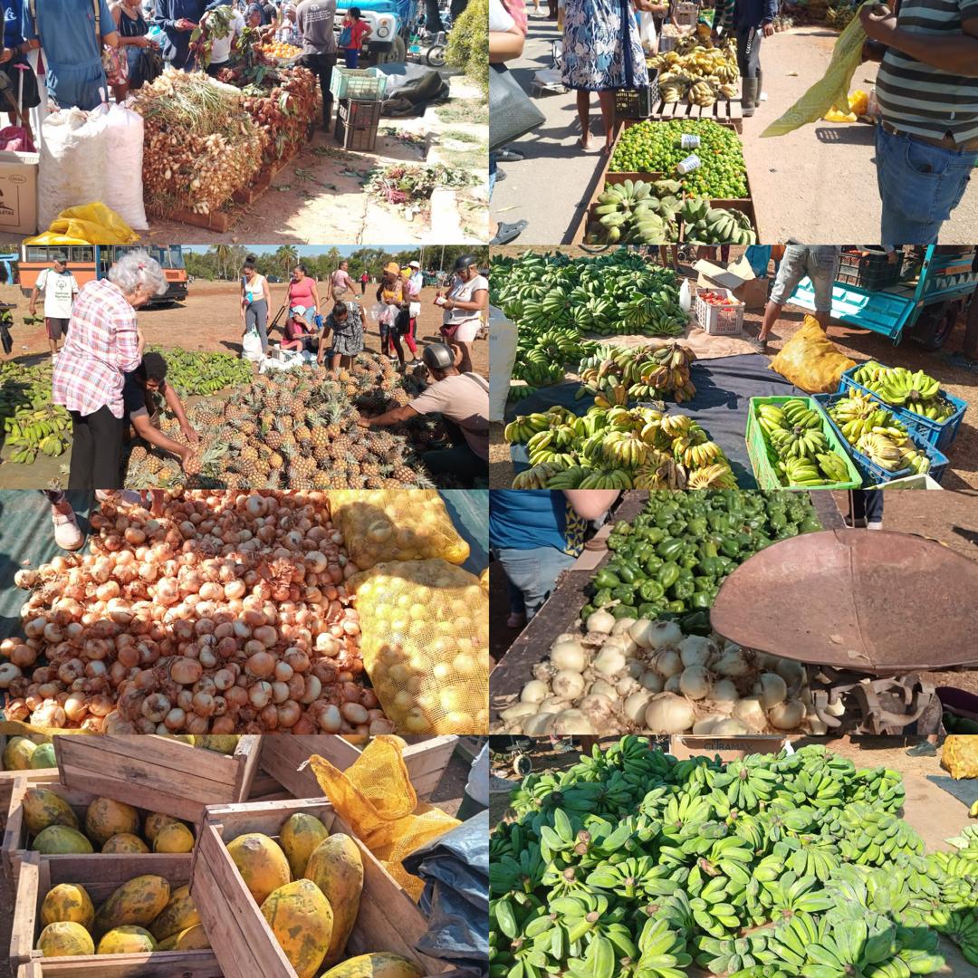 Se realizó feria Agroalimentaria en los 15 municipios de LaHabana y la  participación del Sistema de la #AgriculturaCuabana y los actores económicos de los municipios, con variadas ofertas para el pueblo.
#AgriculturaCubana <a href="/MinagCuba/">Ministerio de la Agricultura de Cuba</a>
