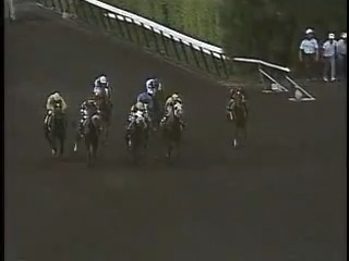 1989=The year of Sunday Silence 🥇🏆️ この年の米国🇺🇸プ