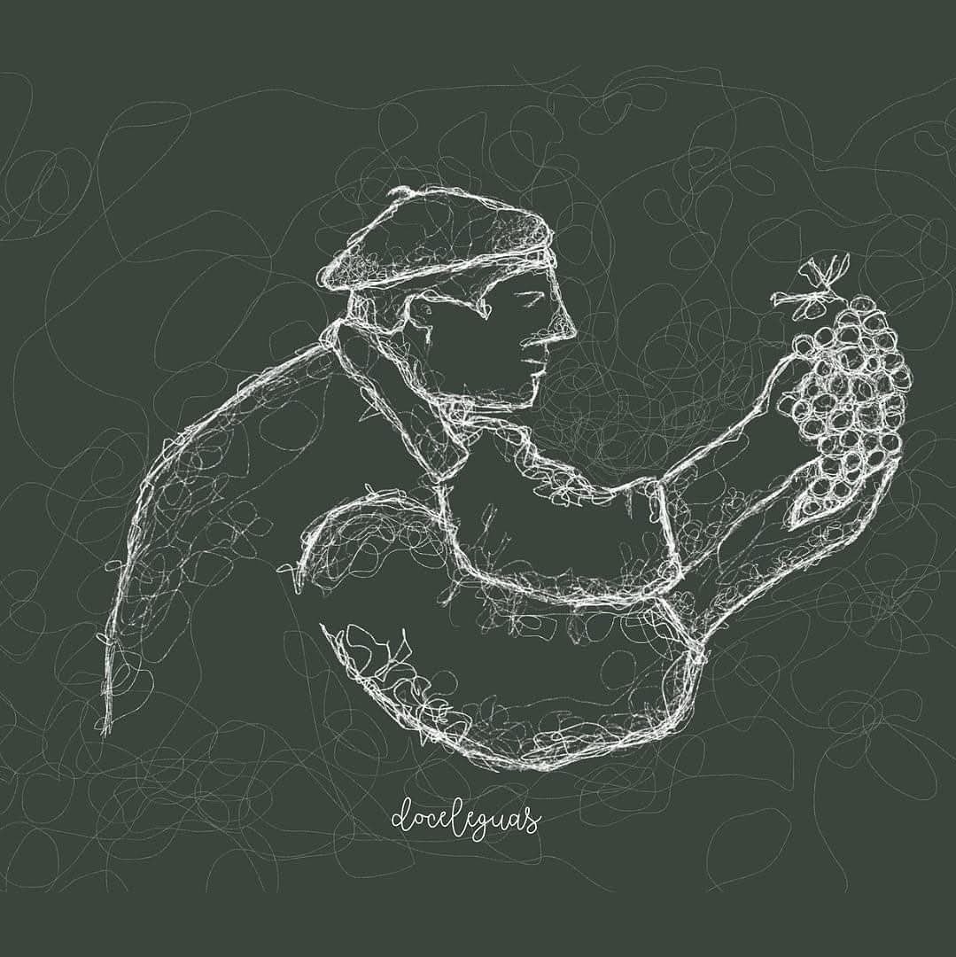 NORMA VEGA tweet media