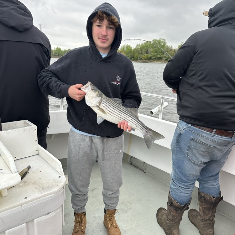 Lakeland Regional tweet media