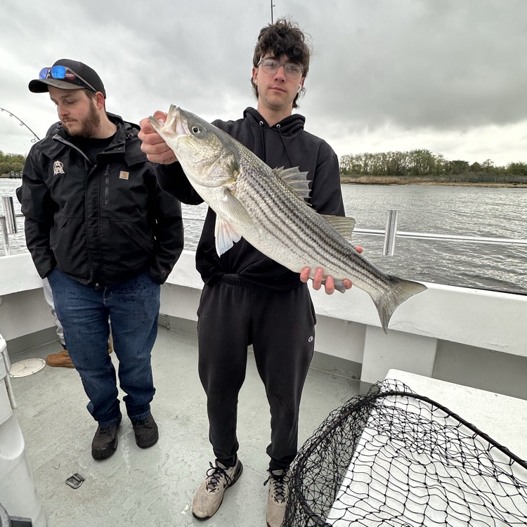 Lakeland Regional tweet media