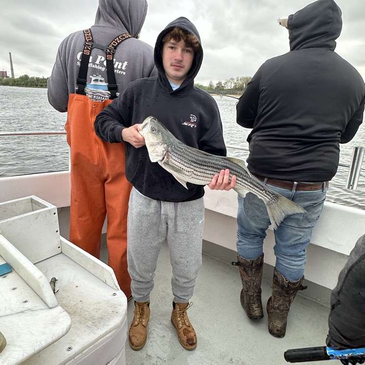 Lakeland Regional tweet media