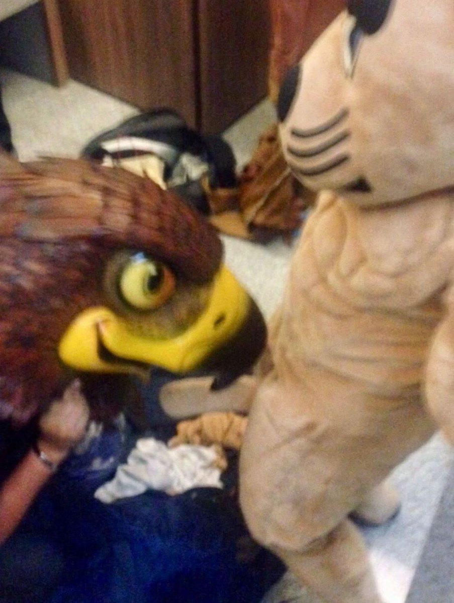 AuriVirgo tweet media