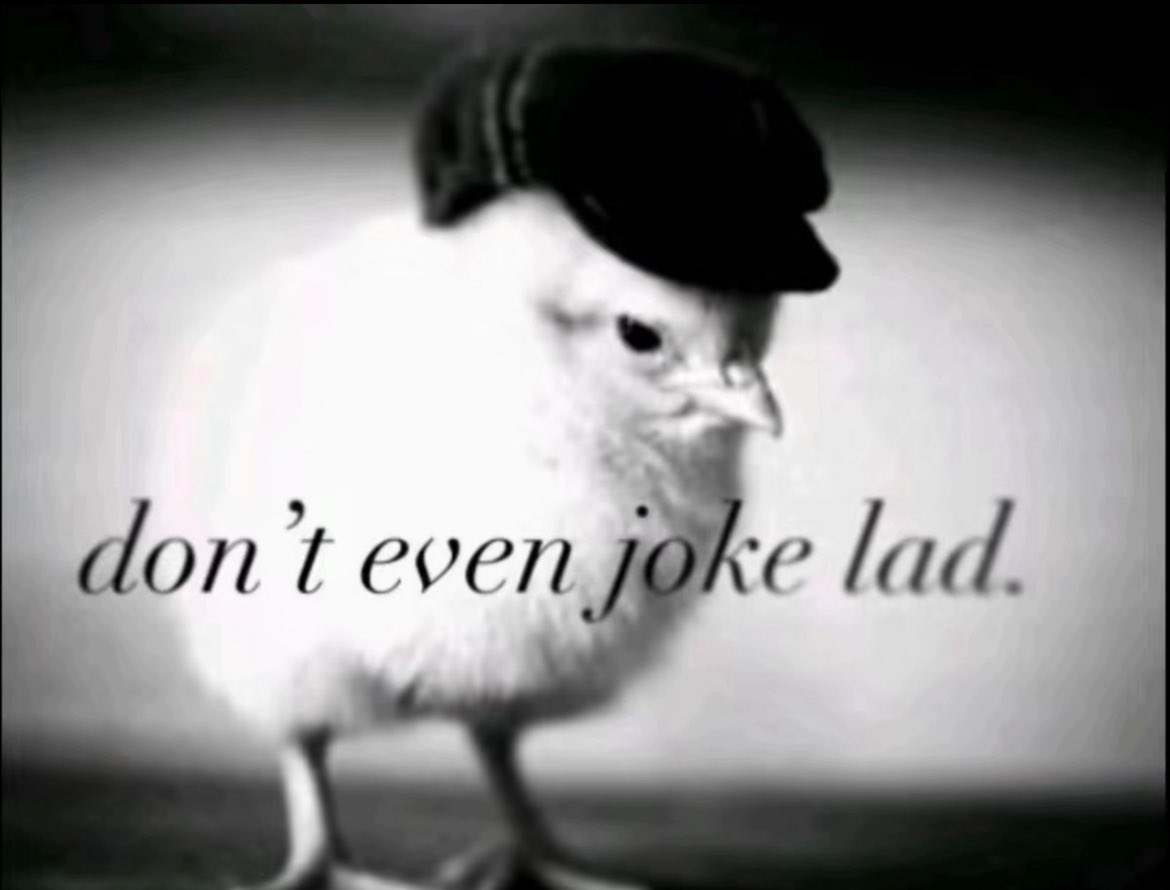 mimi ᥫ᭡ tweet media