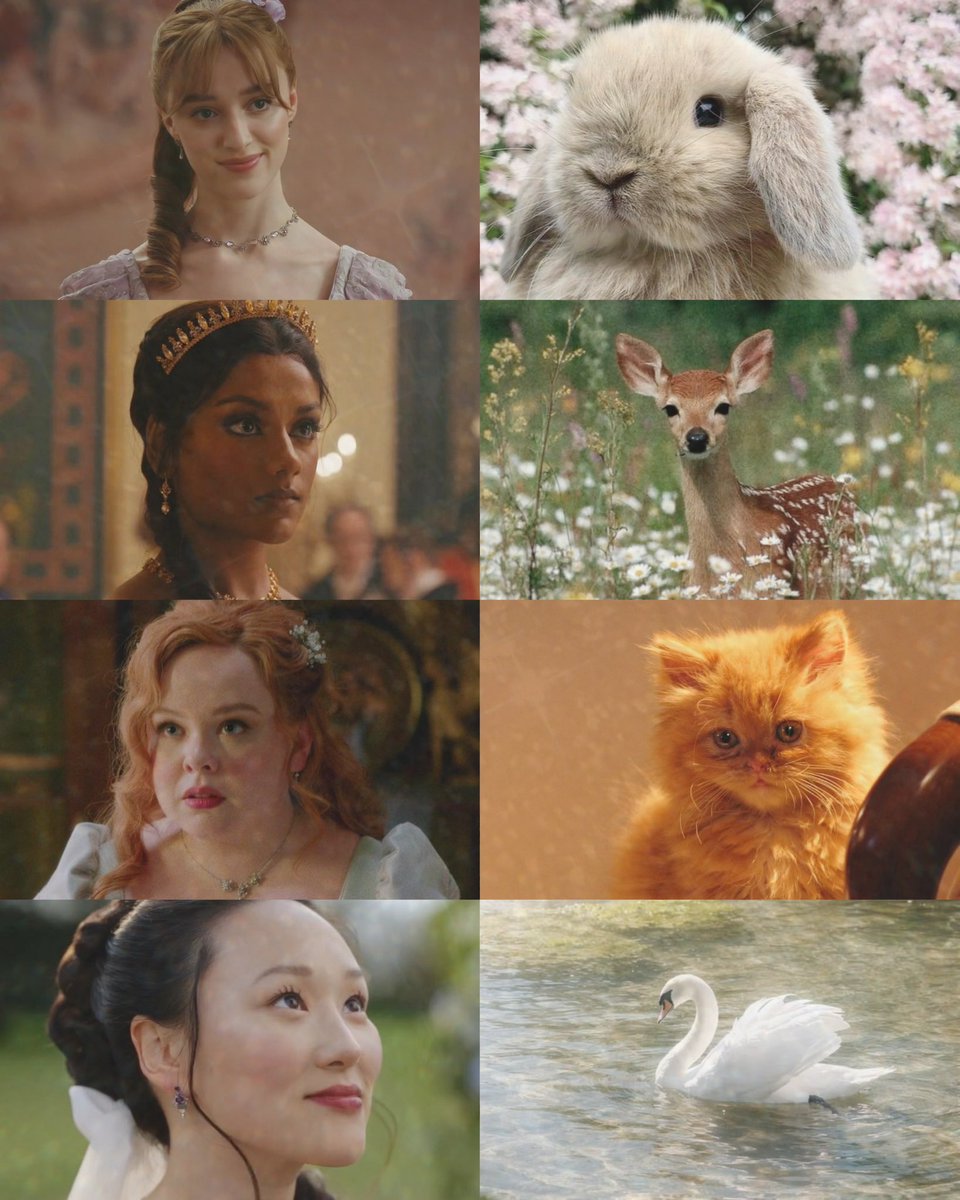 .☘︎ ݁˖ tweet media