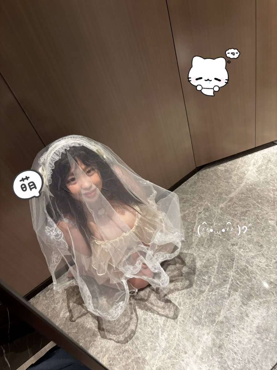 蛋饼 tweet media