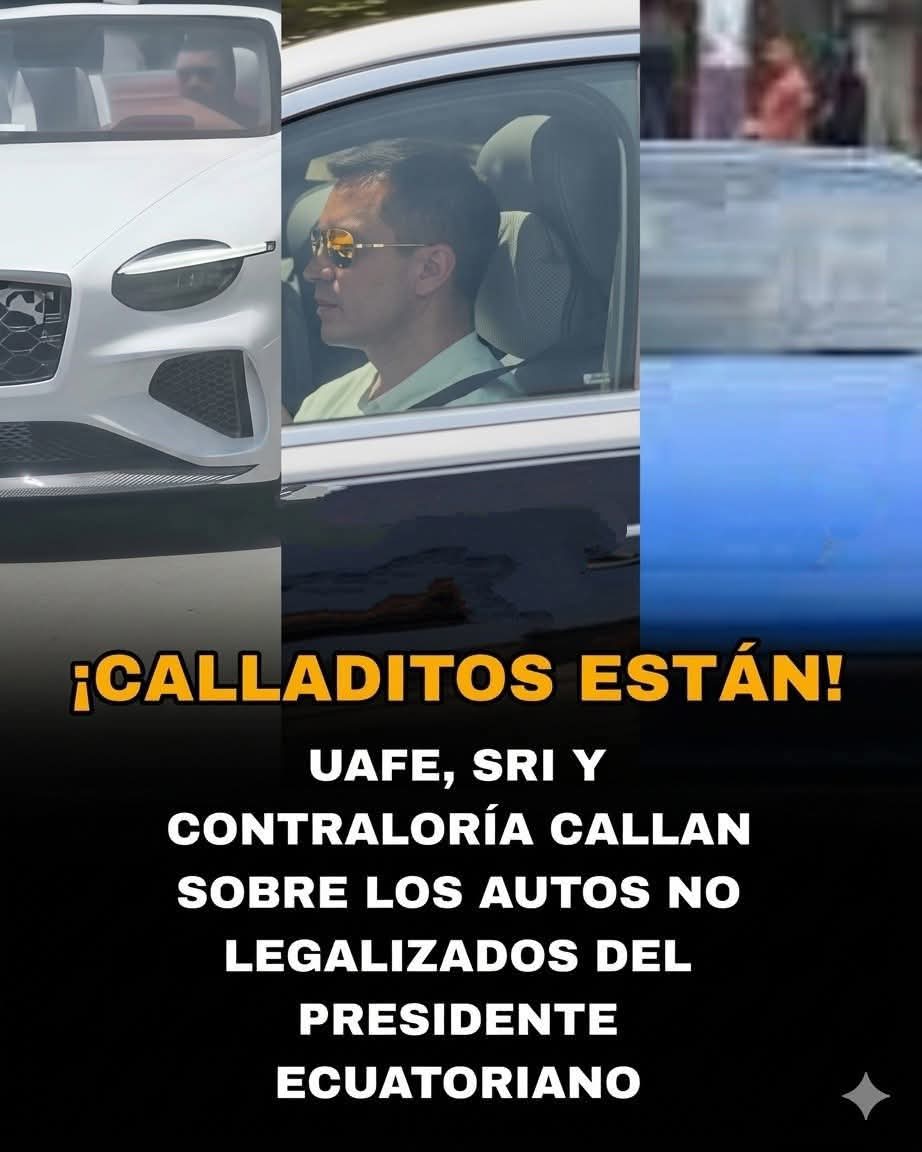 Wladimir tweet media