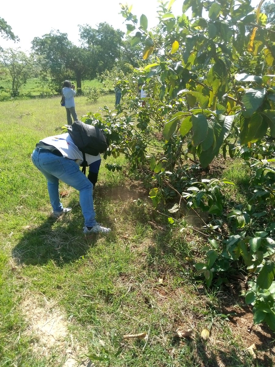 Enrique Cisneros Morris tweet media