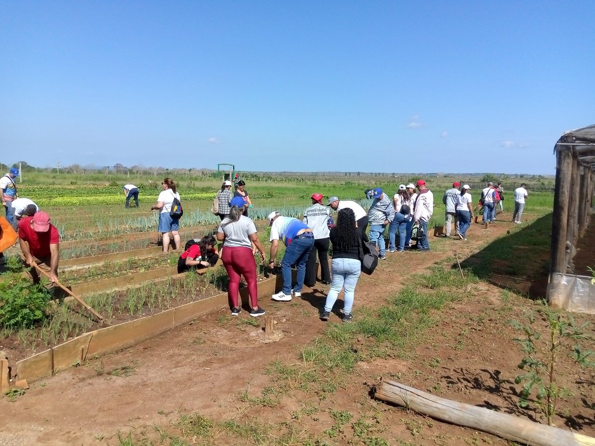 Enrique Cisneros Morris tweet media