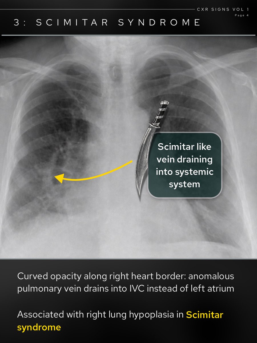 theRadiologist tweet media