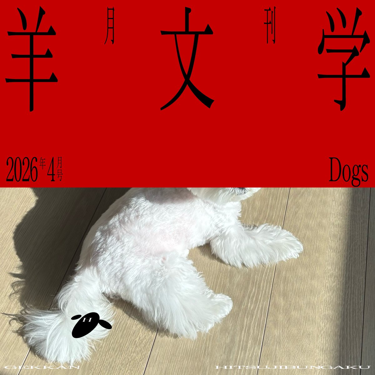 Fan Club] オフィシャルファンクラブ「月刊 羊文学」 塩塚モエカ連載