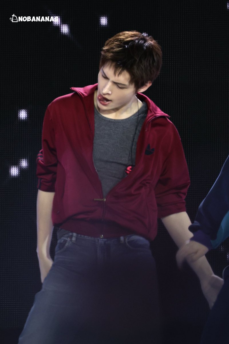 dailyjames tweet media