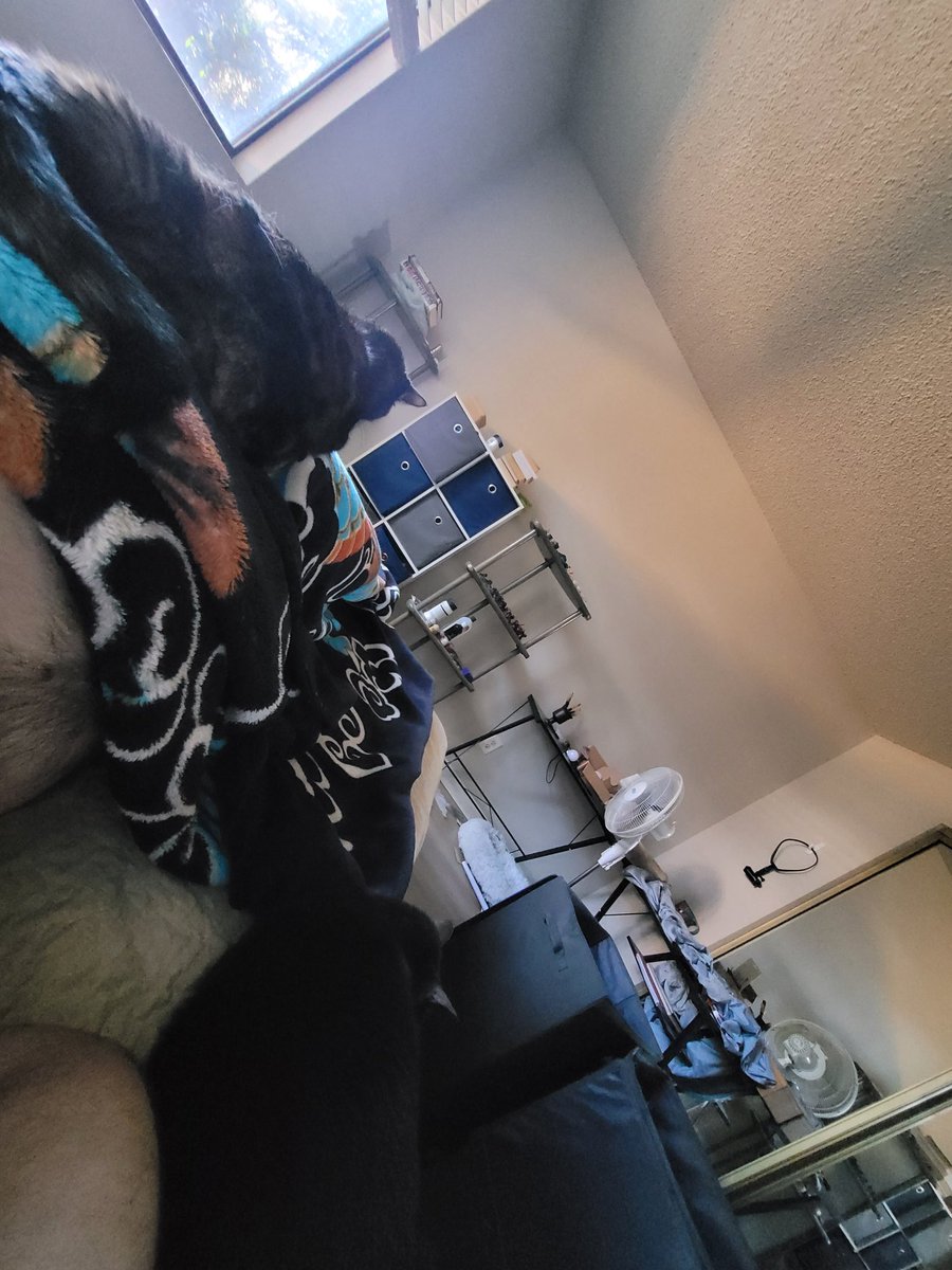 World Wonderers tweet media