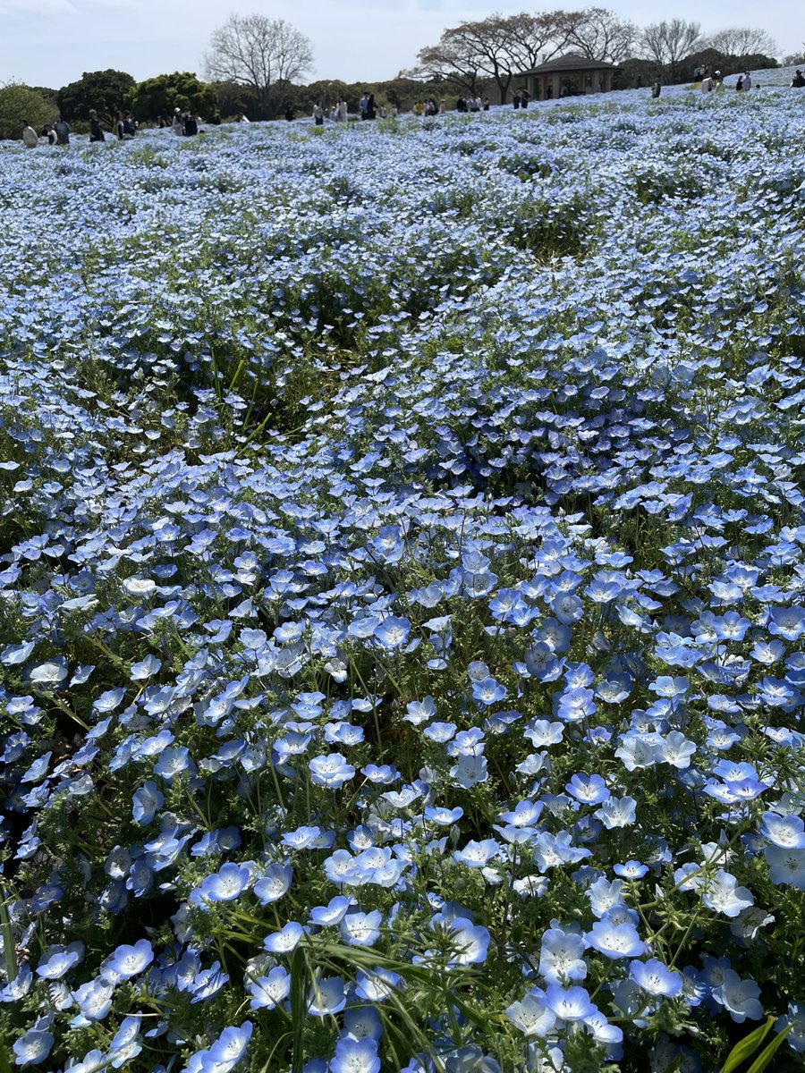 こちゃ tweet media