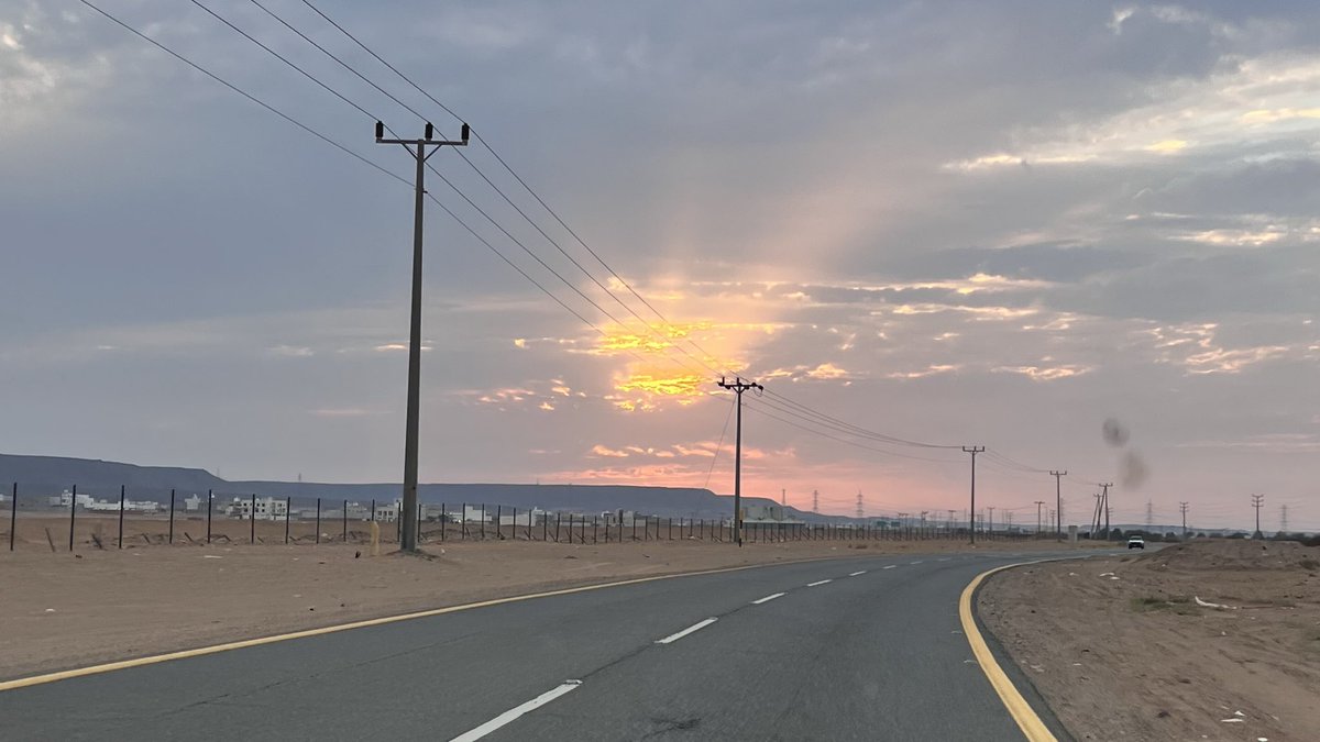 انور عبدالعليم الشيخ tweet media