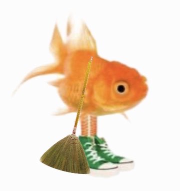 𝔀 tweet media