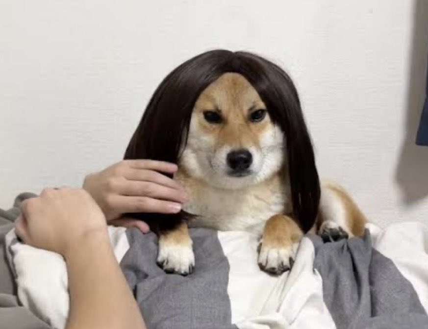 さかむげ tweet media