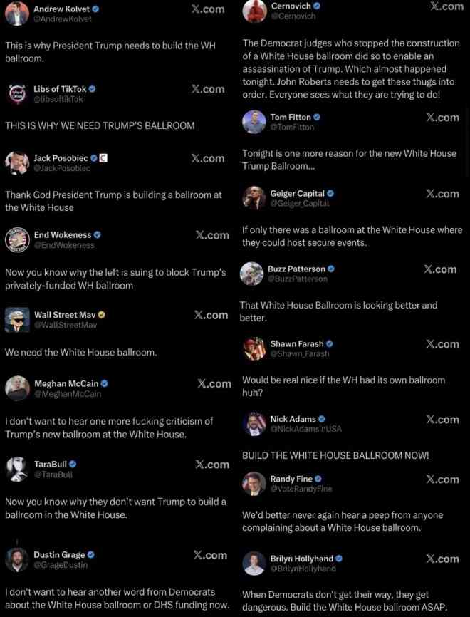 nicølina tweet media