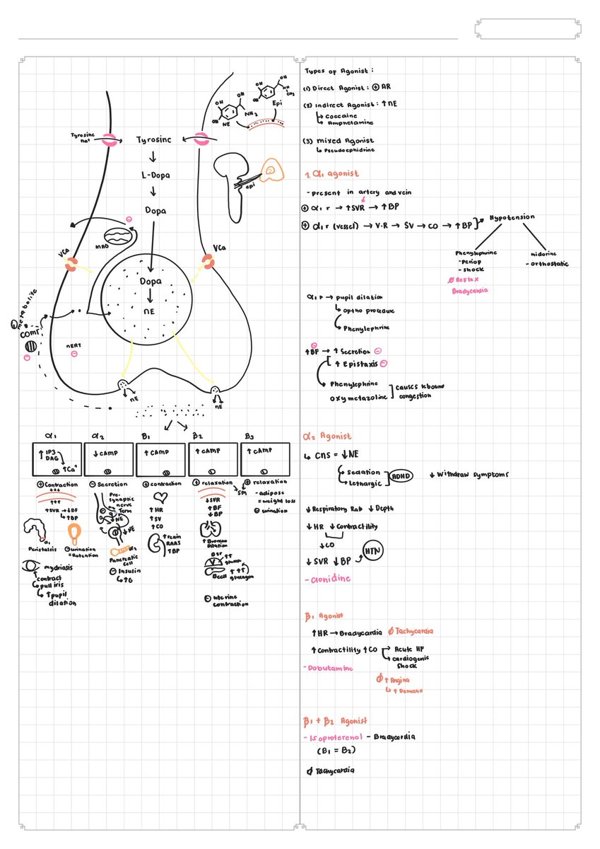 sea, RPh tweet media