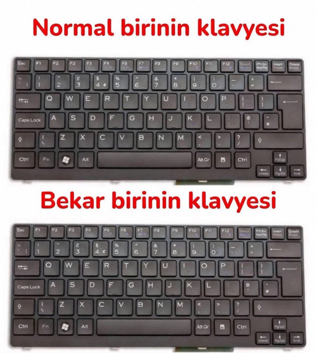 Dilara ben tweet media