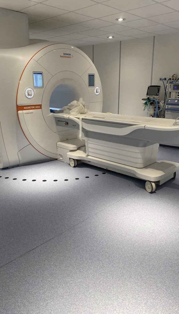 Don’t see” tweet media