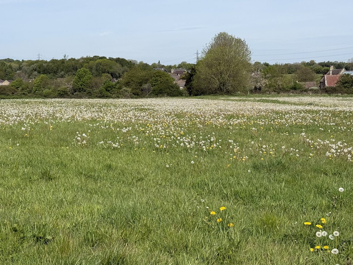 Ann Brooks 💙 tweet media