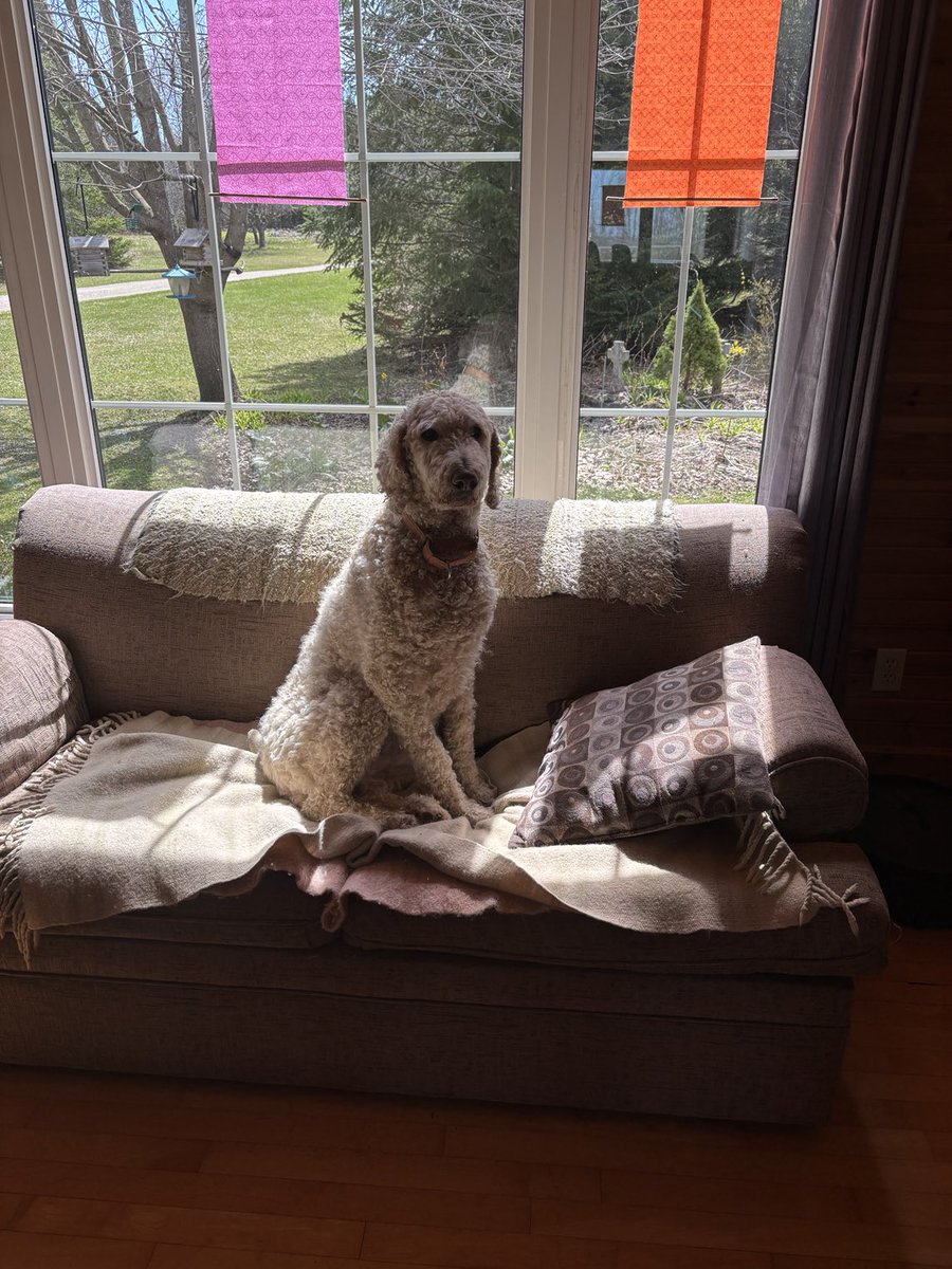 Janine McQueen tweet media