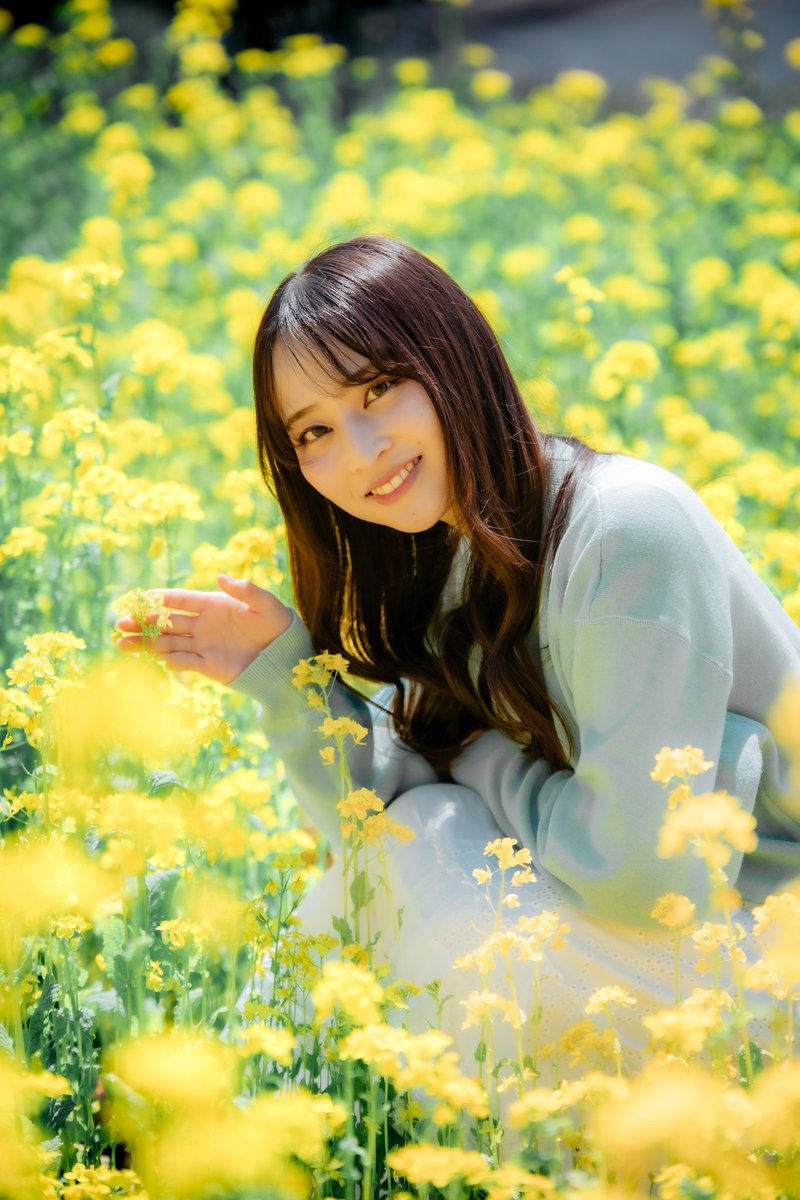 tomomatsu12's tweet image. 2026.4.26
春の光に包まれて、
やさしく揺れる黄色の景色。

何気ない瞬間が、
少しだけ特別に感じた。

2026年3月撮影
四本堂公園

Model：みゆさん

A soft spring moment wrapped in golden flowers.

#portrait #springvibes #flowerphotography #japanphotography #artofvisuals
