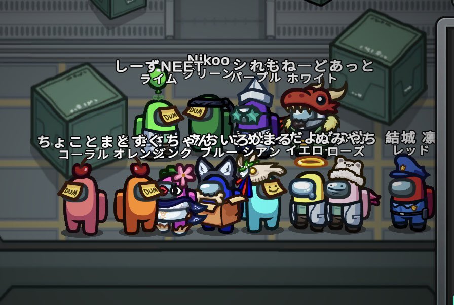 きさらぎ tweet media